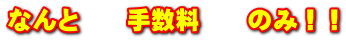 なんと　　手数料　　のみ！！